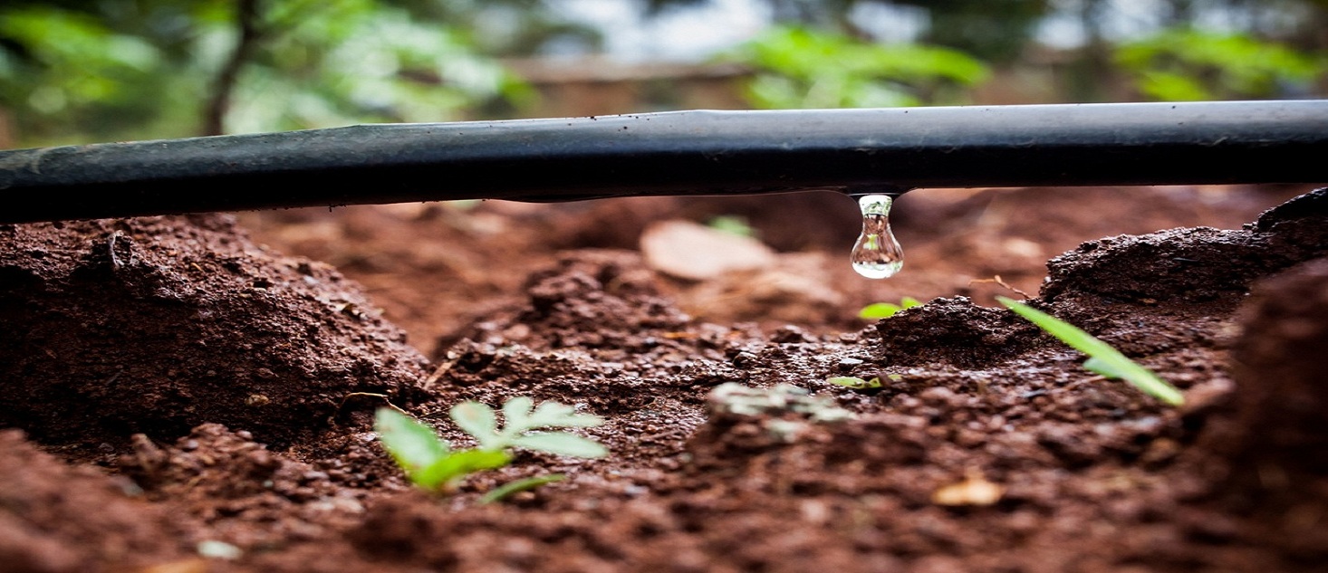 dripirrigationimage1466x633