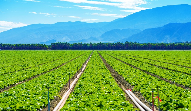 California Produce California Produce